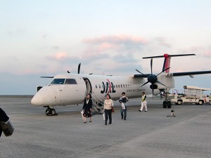 無事に車輪も出て奄美に到着。