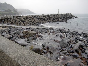 大量に流れ込む真水 大量に流れ込む真水