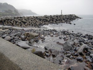 大量に流れ込む真水