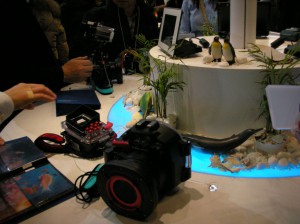 DSCN4005-s 水中器材の地味な展示(オリンパス)