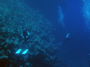 地形派好みの伊江島のポイント