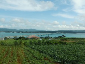 古宇利島周回路から見た古宇利大橋