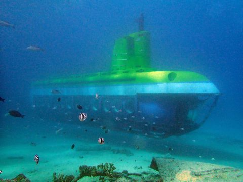観光潜水艦ディープスター号(これに出会ったら手を振りましょう!)