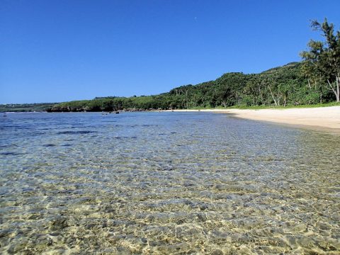 雲ひとつない快晴!のラウラウビーチ(1)
