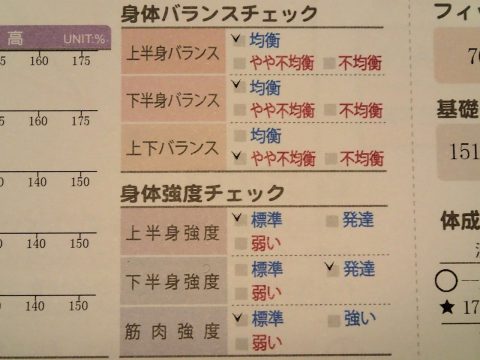 筆者の身体バランス測定結果。上下バランスが「やや不均衡」。