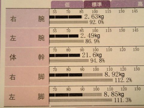 筆者の筋肉バランス。下半身側が強い。